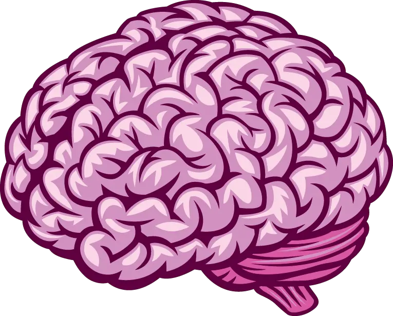 Transparent Human Brain Png Royalty Free Brain Vector