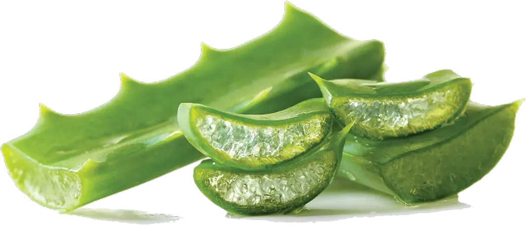 Aloe Vera Gel Png Pic Aloe Vera Gel Leaf