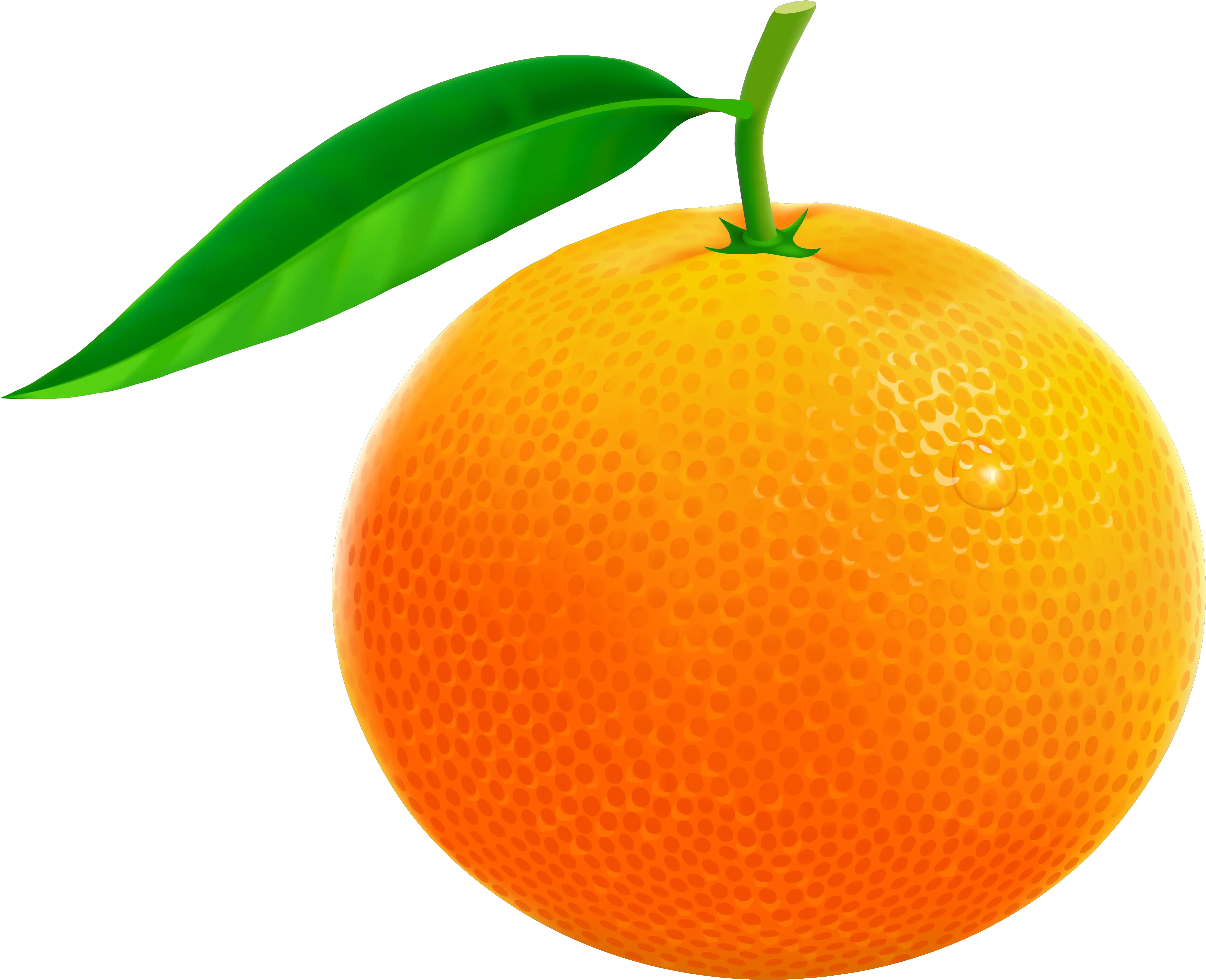 Orange Fruit Clipart Orange Fruits Images Hd