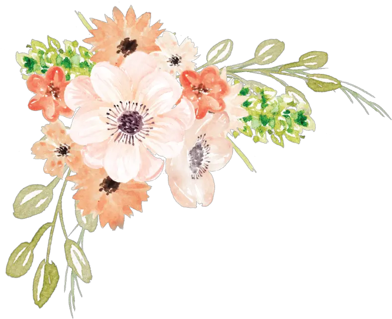 bloom frame flower border flowers white bouquet Water Color Flower Clipart