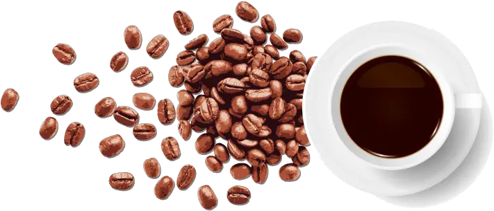 Coffee Bean Espresso Vector Coffee Beans Png