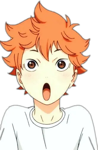 haikyuu hinata shoyohinata Cartoon