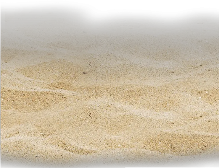 Transparent Seashore Clipart Beach Transparent Background Sand Png
