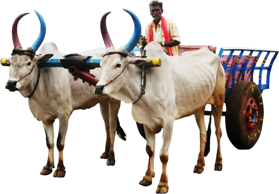 Bullock Cart Image Png