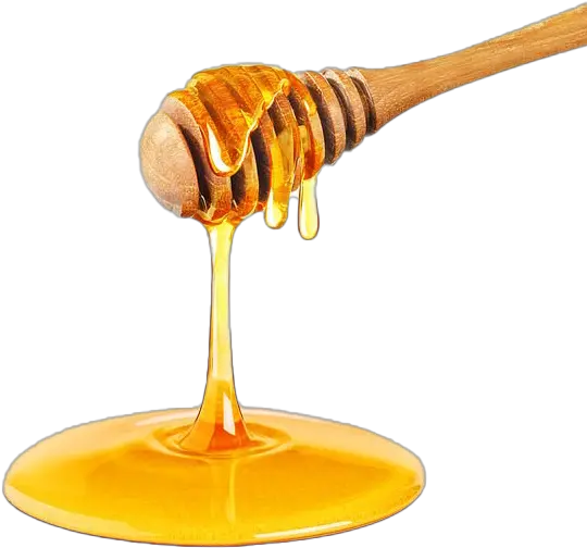 Honey Dripping From Dipper