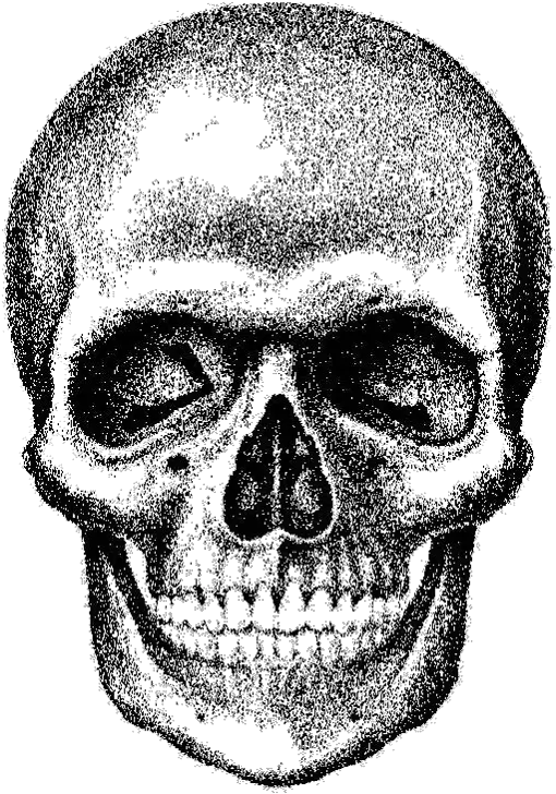 Skull Png Download Royalty Free Skull Transparent