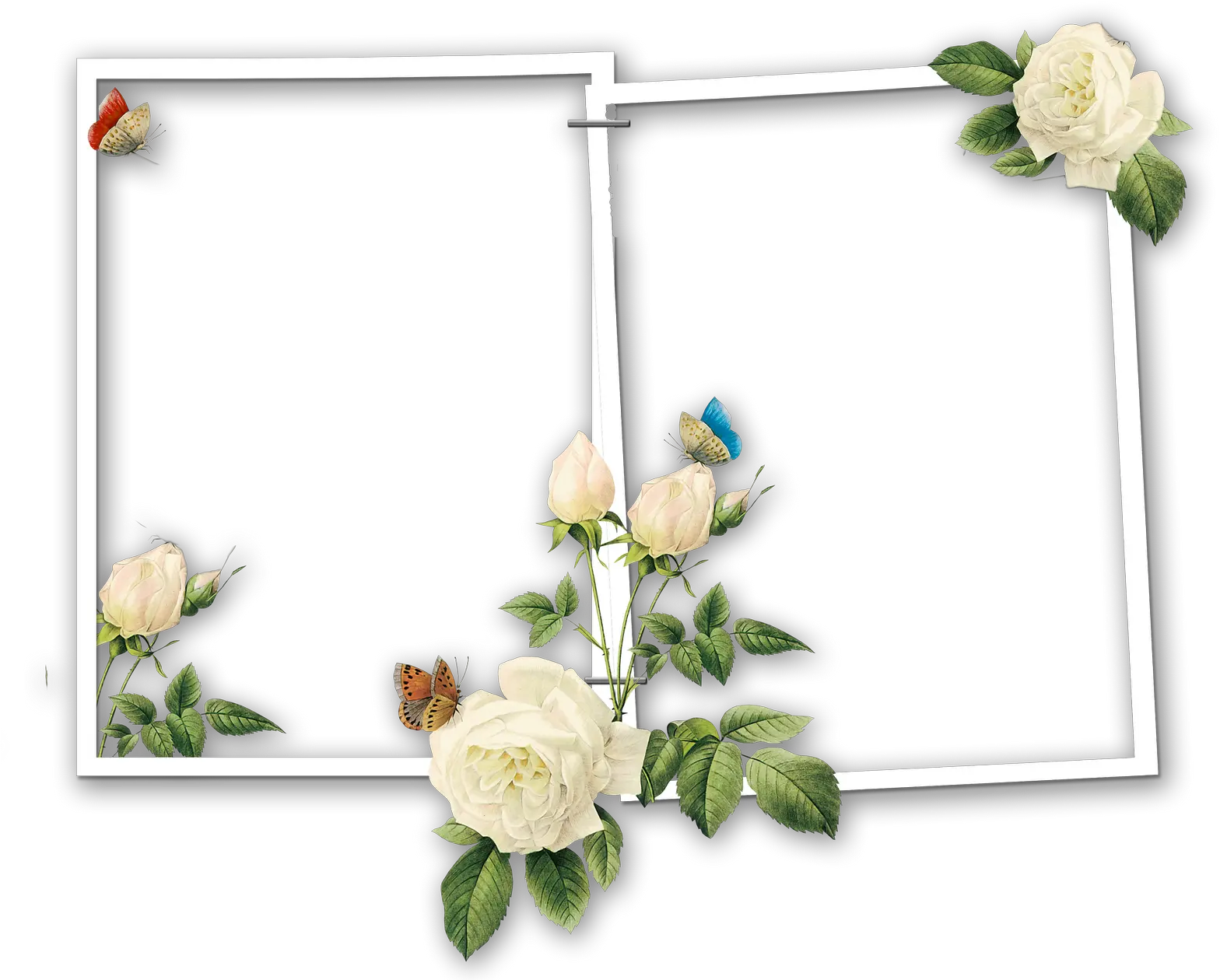 Collage Two Frame Png