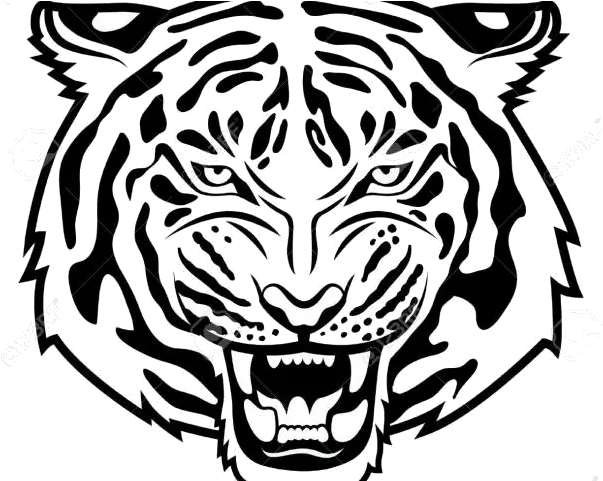 Tiger Free White Clipart Clip Art On Transparent Png Tiger Head Clipart Black And White