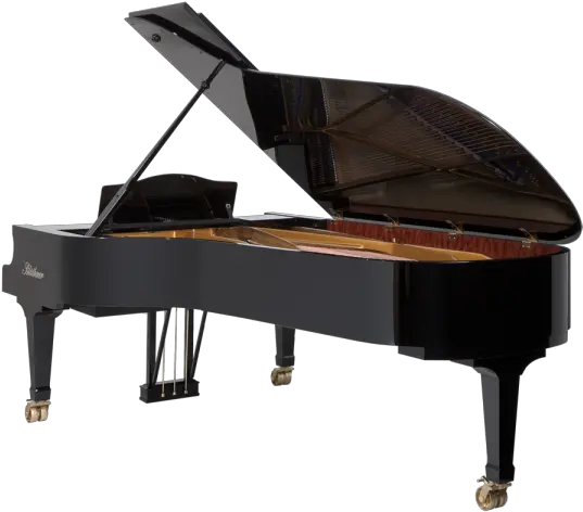 Grand Piano Back View