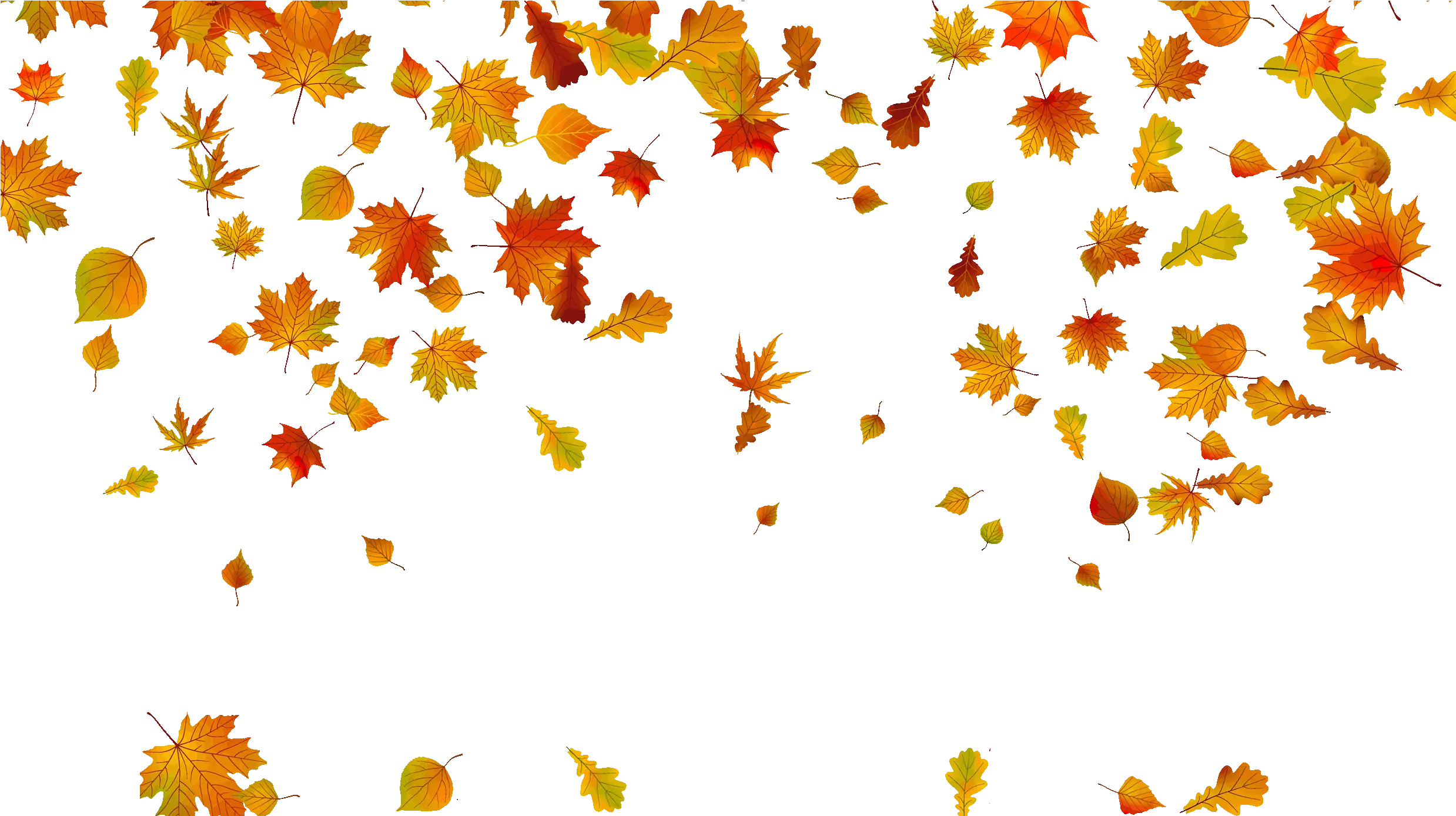 Transparent Background Fall Leaves Png