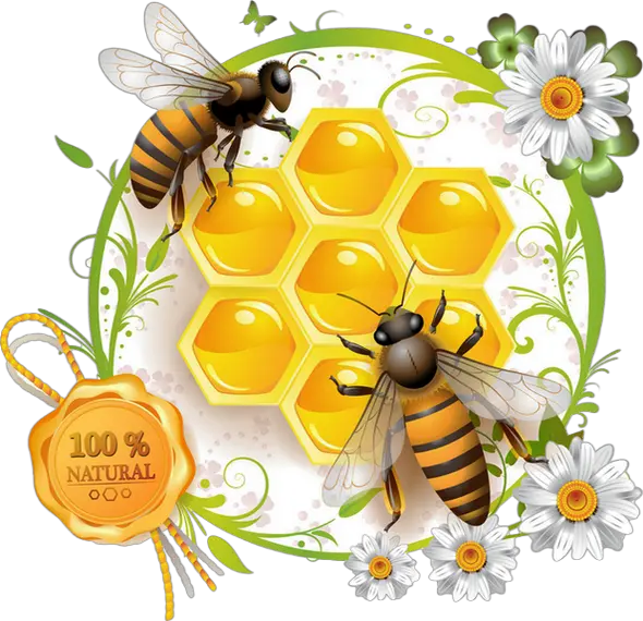 Bee Png Transparent Honey Bee Vector