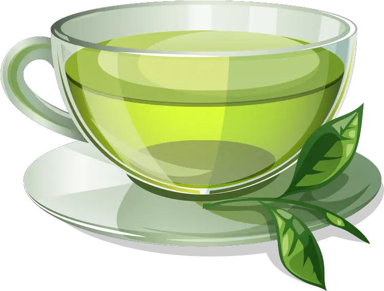 Green Tea Coffee Herbal Tea Hot Green Tea Cup