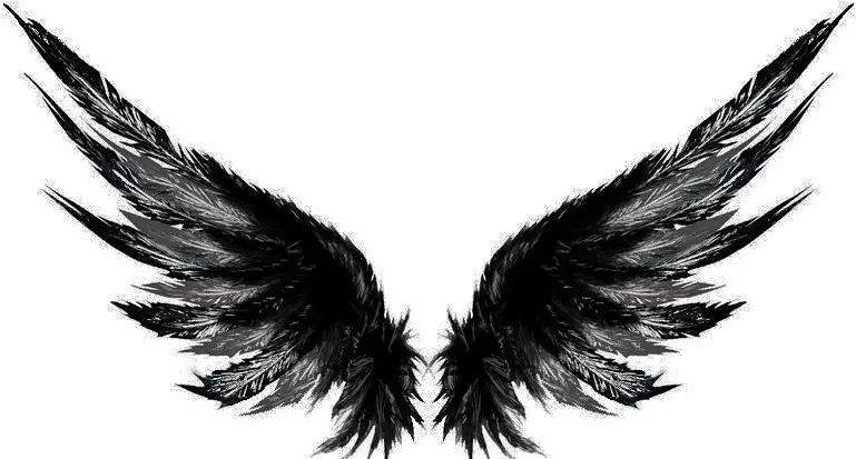 Wandering Wings Festival Band Picsart Wings Png Hd