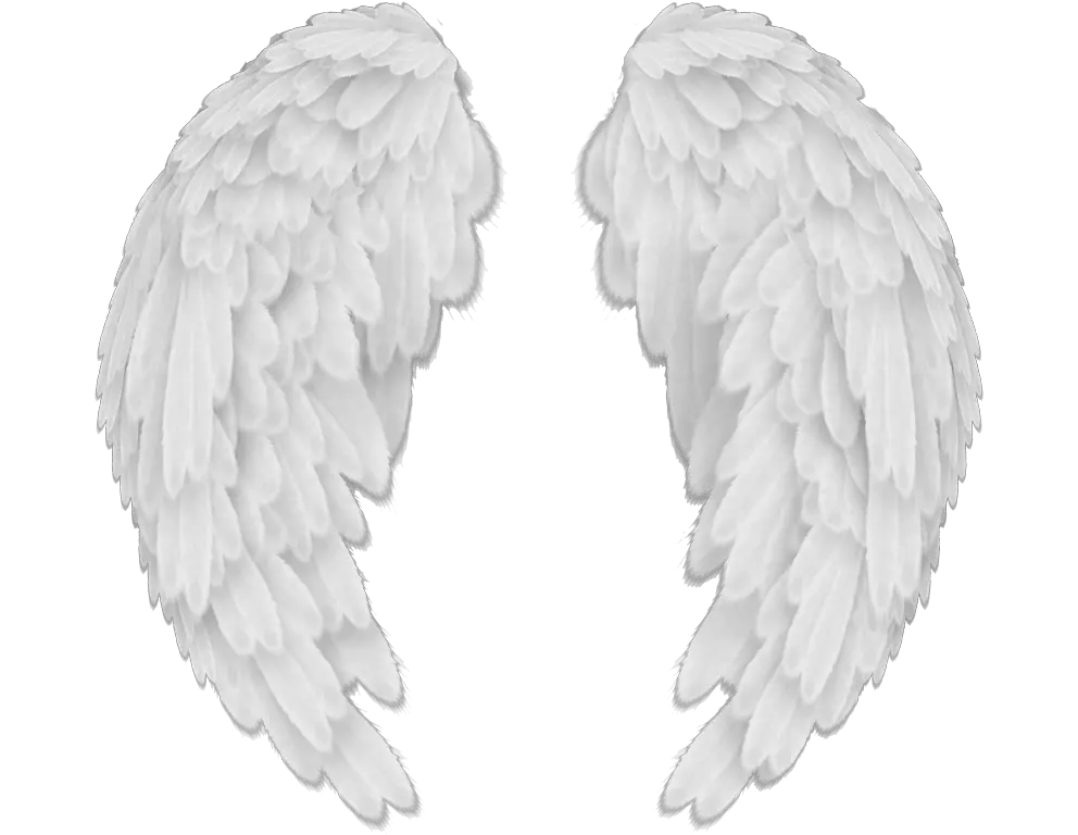 Angels In America Wings Transparent Background Angel Wings Png