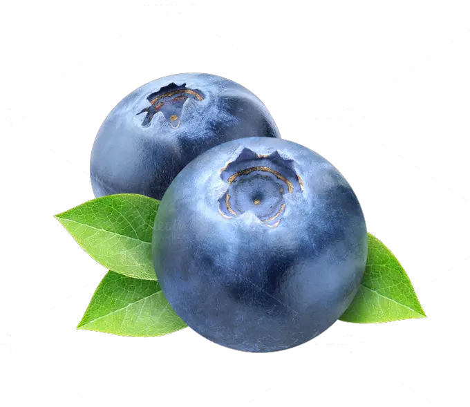 Download Blueberry Png Photos Transparent Background Blueberry Clipart