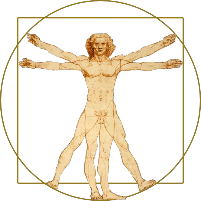 Vitruvian Man Png Transparent