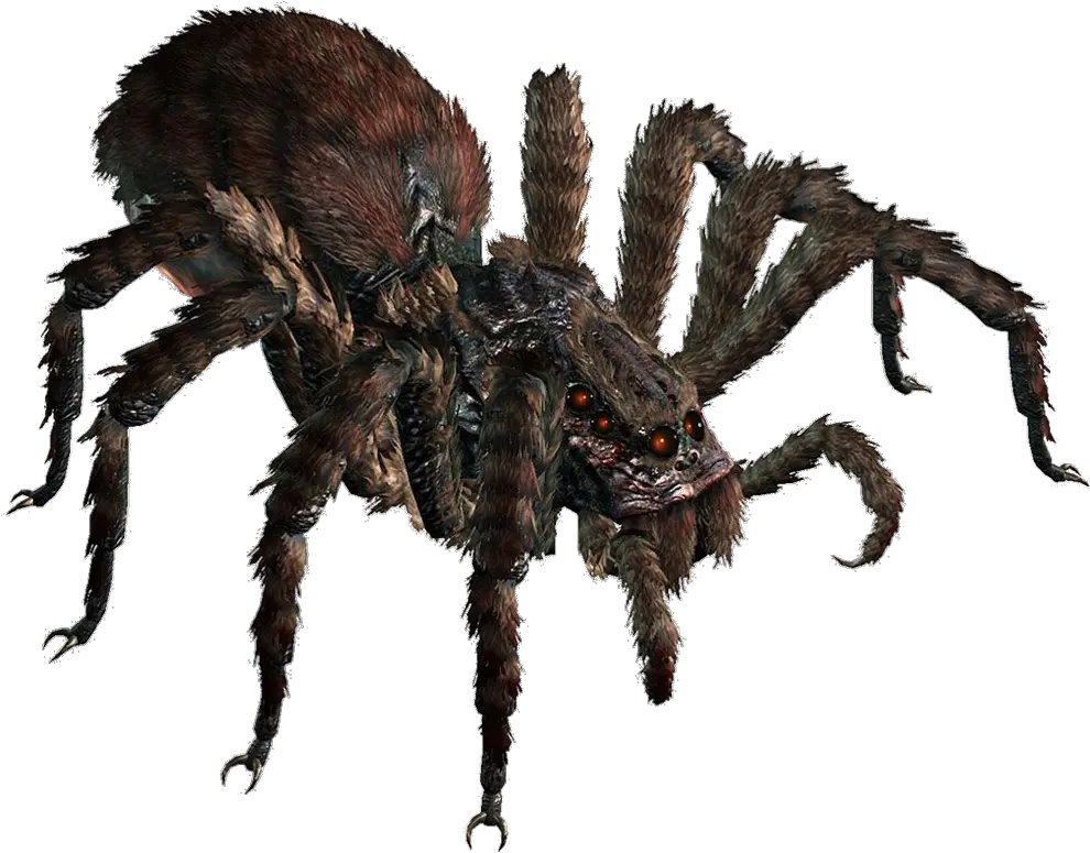 Giant Spider Dnd 5e