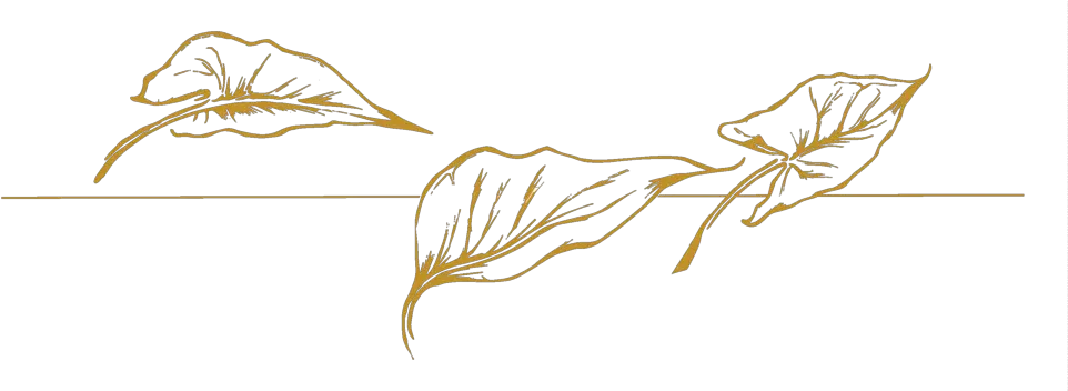 Transparent Enchantress Png Transparent Gold Leaf Png