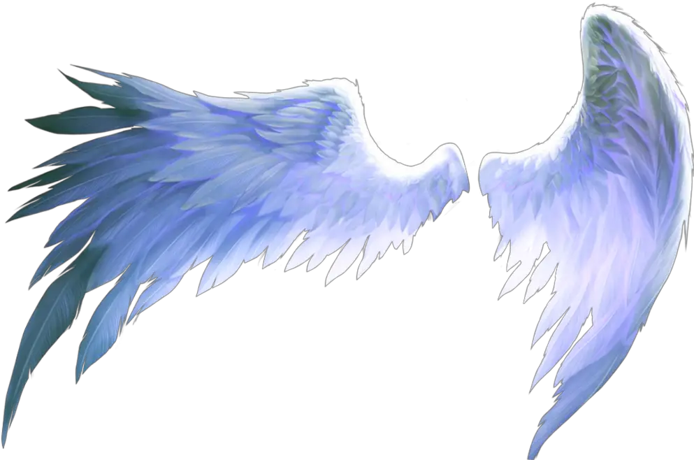 wings of freedom angel birds blue aesthetics Transparent Anime Wings Png