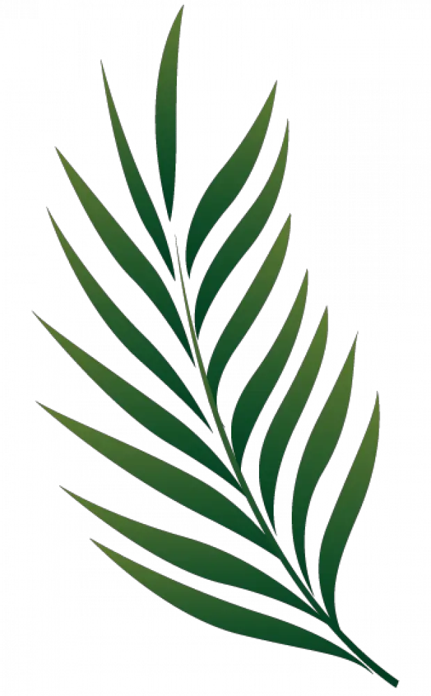 Tropical Leaves Png