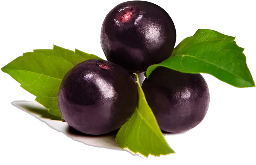 Transparent Acai Berry Png Acai Berry Transparent Background