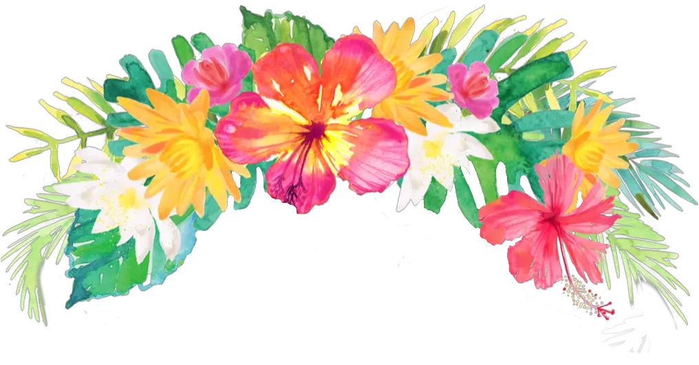 Tropical Flowers Transparent Background