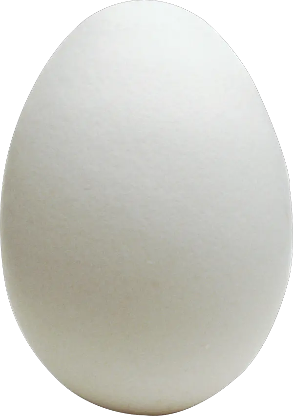 Egg Png Free Download Transparent Egg Png