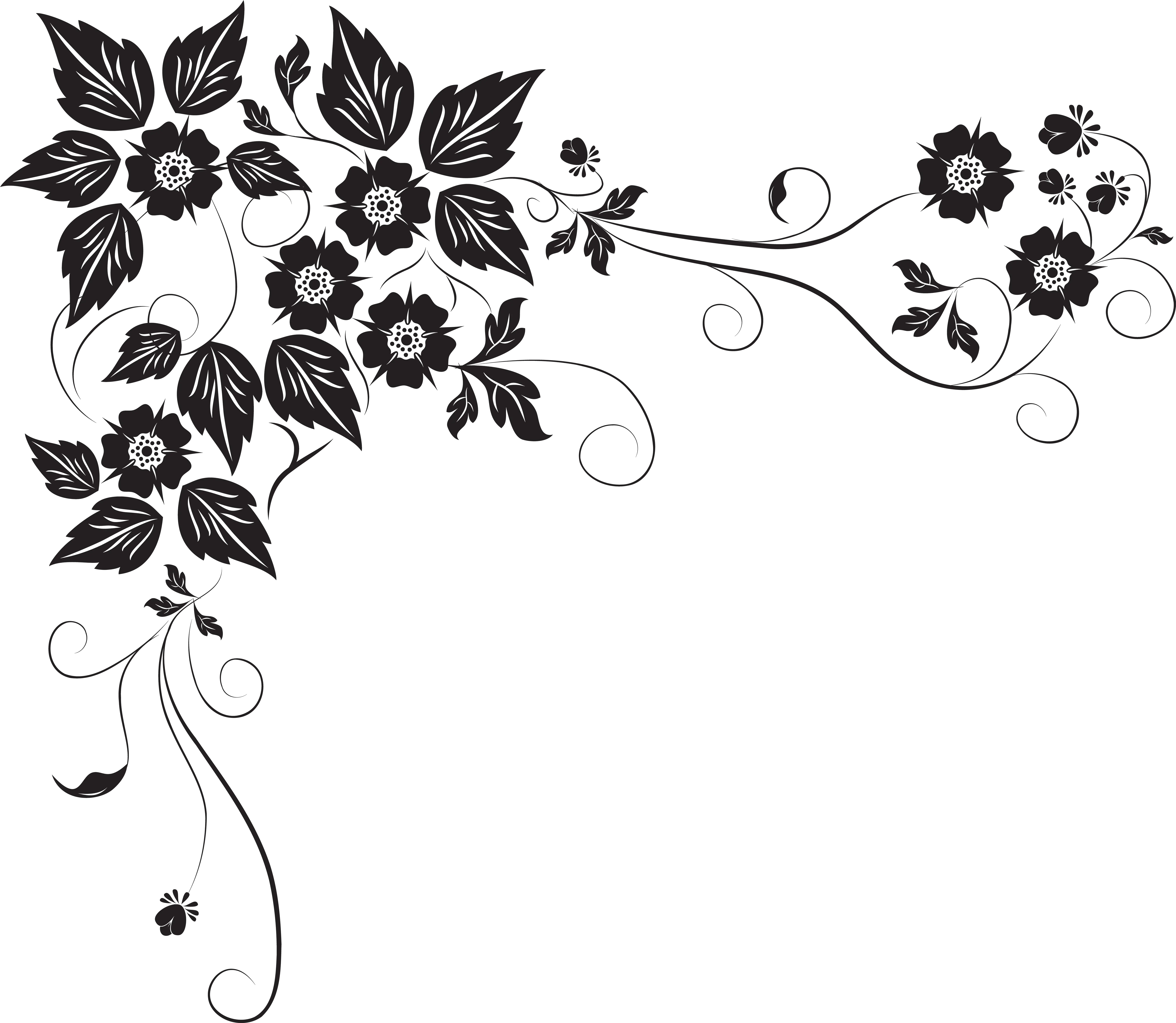 Transparent Border Design Black And White Png Floral Design Elements Png