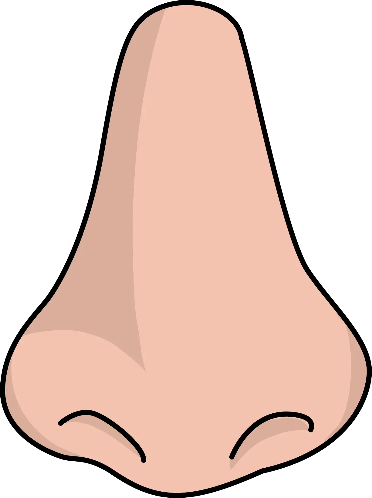 Nose Png
