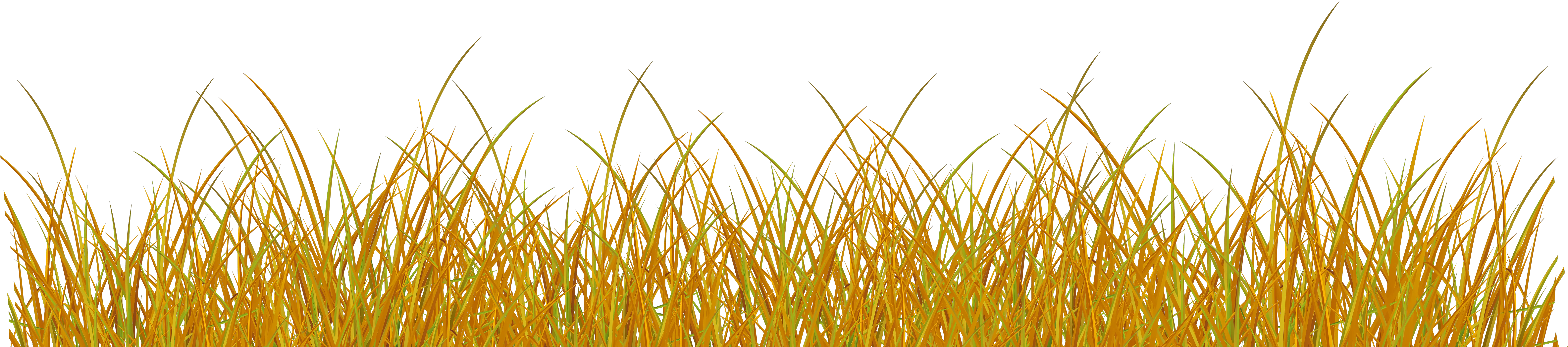 Autumn Grass Clipart Transparent Svg Black And White Transparent Yellow Grass Png