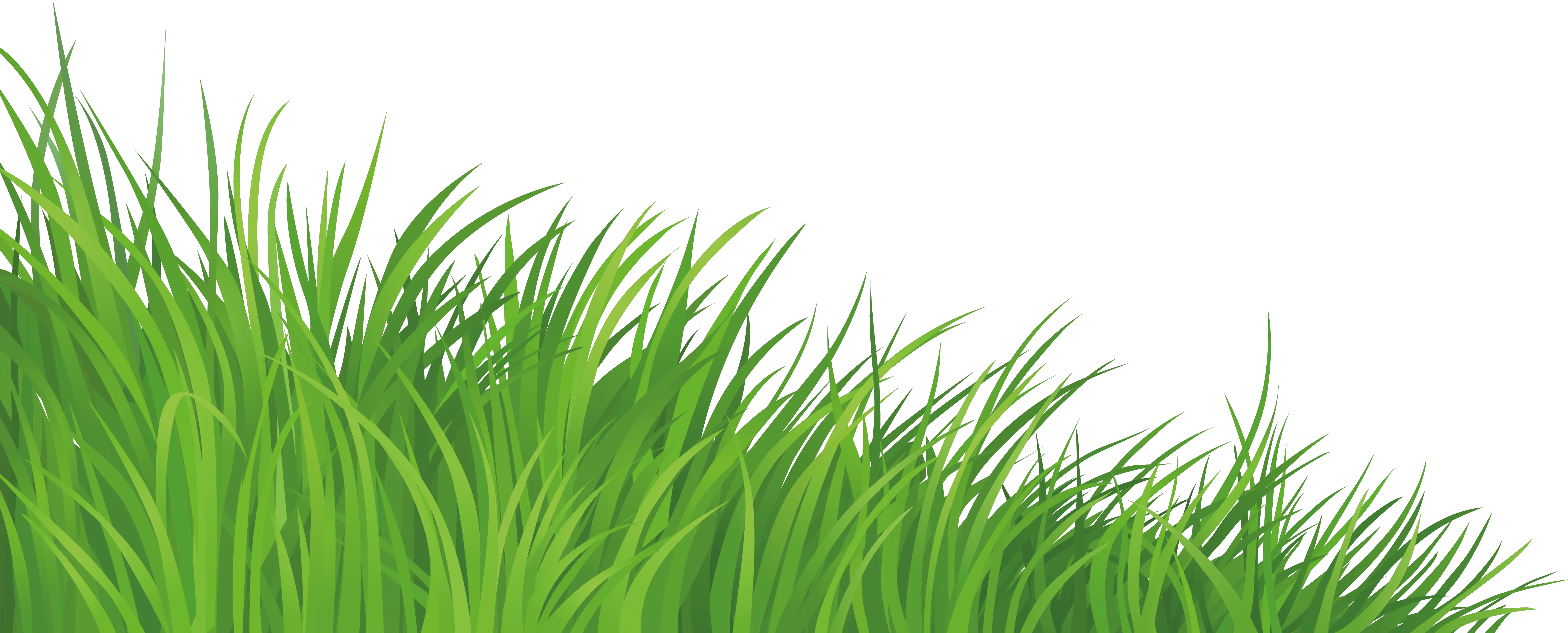 Lawn Clip Art Grass Transparent Background Png Clipart