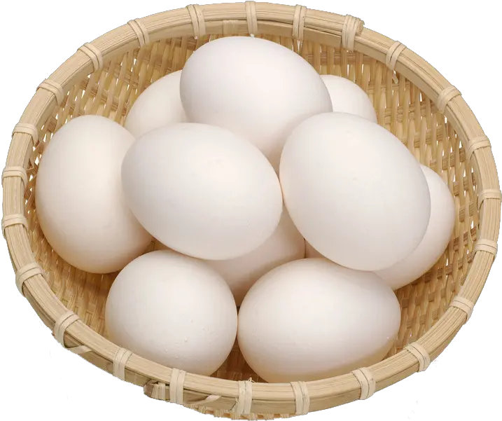 Chicken Egg No Egg White Egg Png