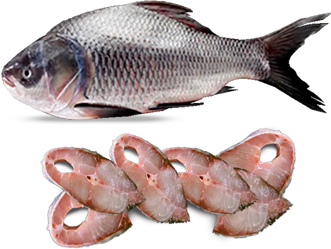 Rohu Fish Local Katla Fish