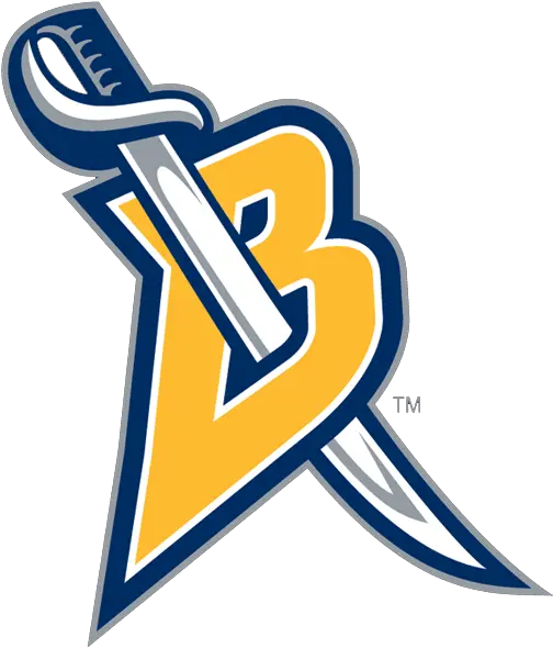 Cool Letter B Logo