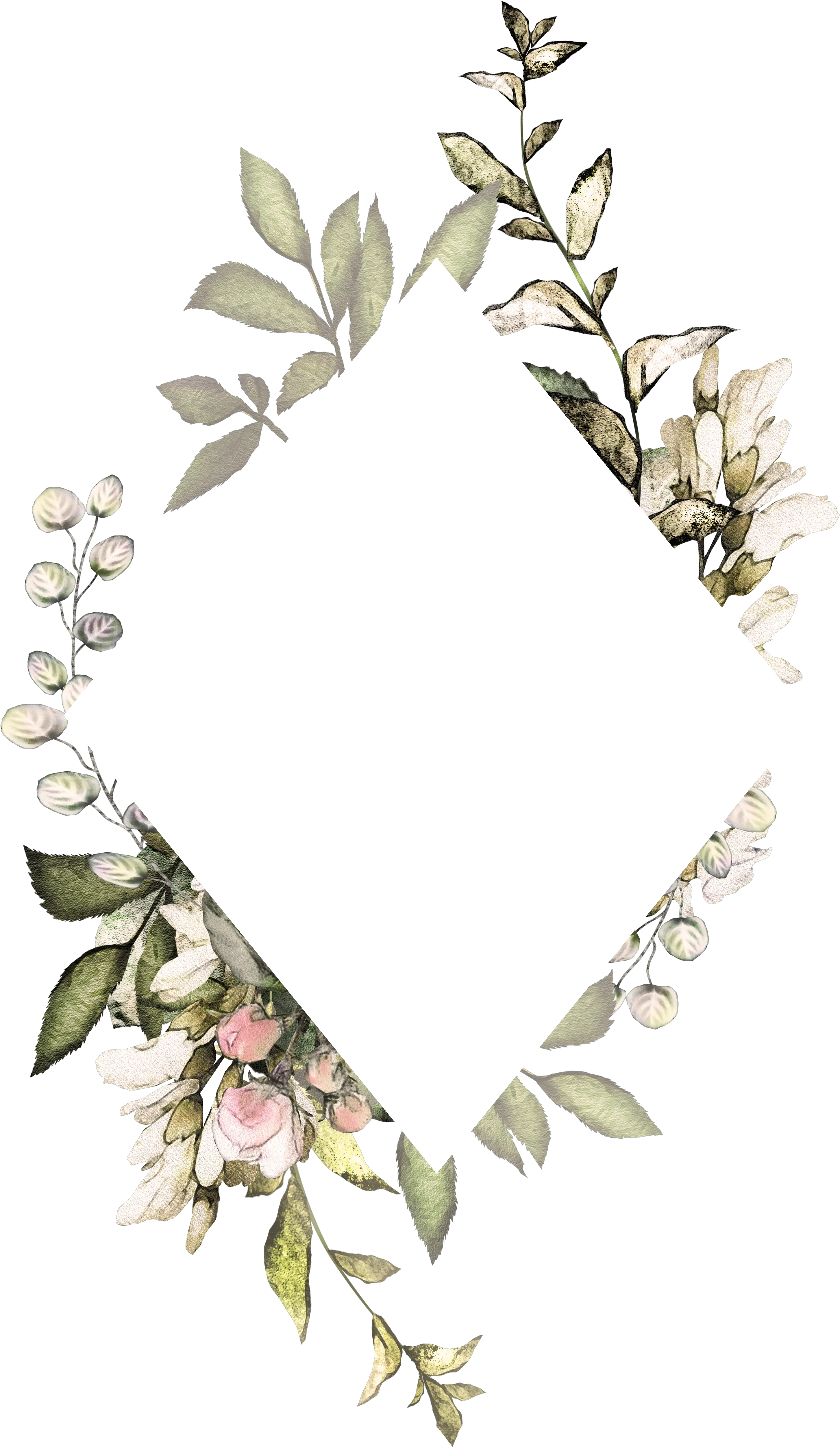 Clip Art Silver Eucalyptus Flower Frame Transparent Background