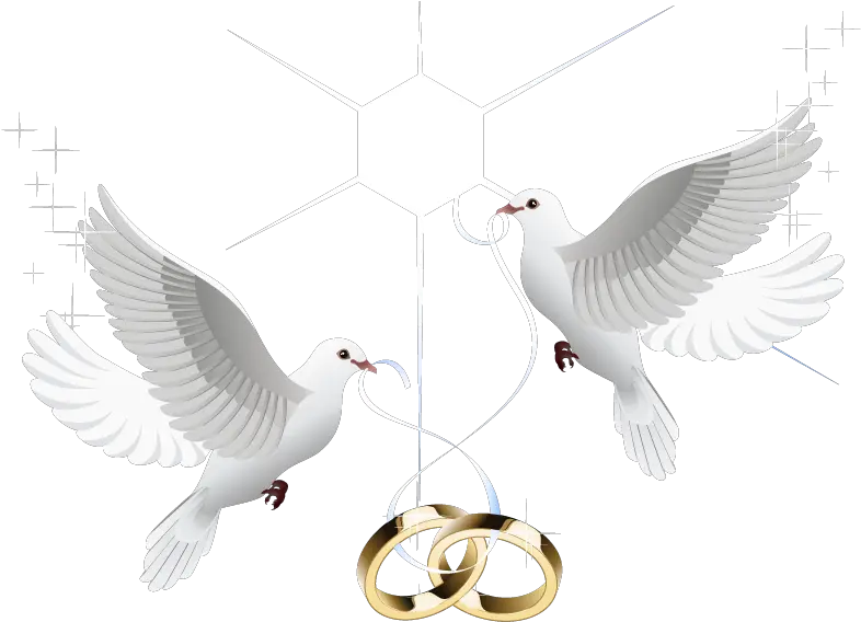 Ring Vector Marriage Wedding Download Hd Png Clipart Transparent Wedding Dove Png