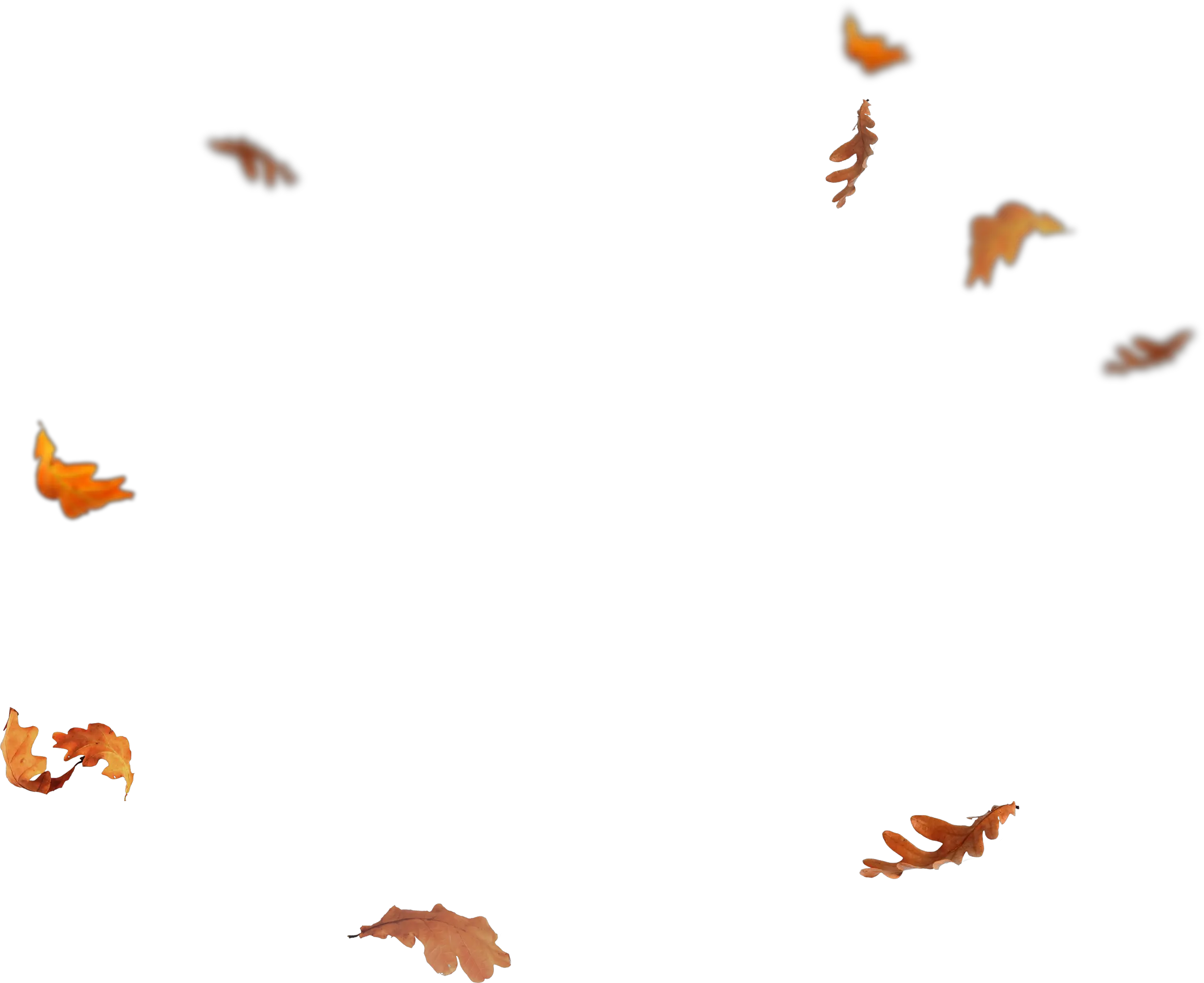 Falling Leaves Png Falling Autumn Leaves Png