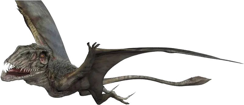 Transparent Flying Dinosaur Png