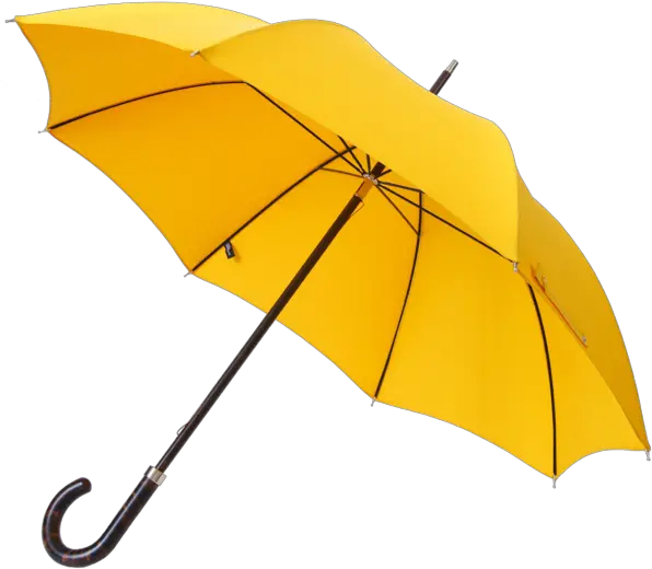 Umbrella Png Yellow Transparent