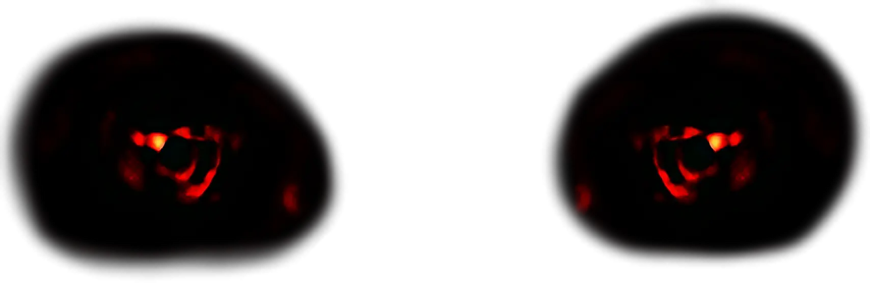 eyes horror evil scary blood red horroreyes Insect