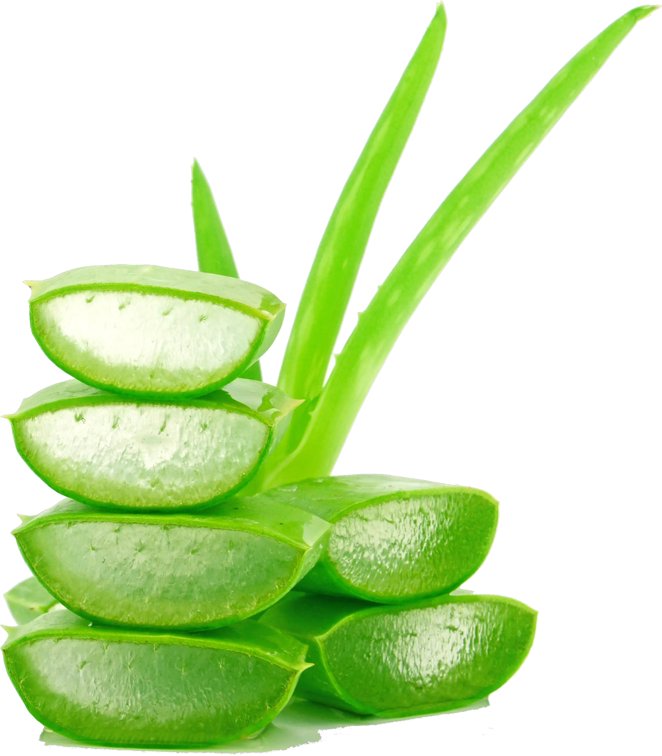 Aloe Photography Lotion Vera Juice Cream Creative Clipart Transparent Background Aloe Vera Png