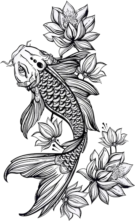 Jk-koi Koi Fish Drawing Black And White