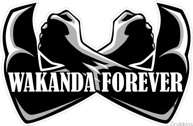 Watchcat Wakanda Wednesday Black Panther Wakanda Forever Png