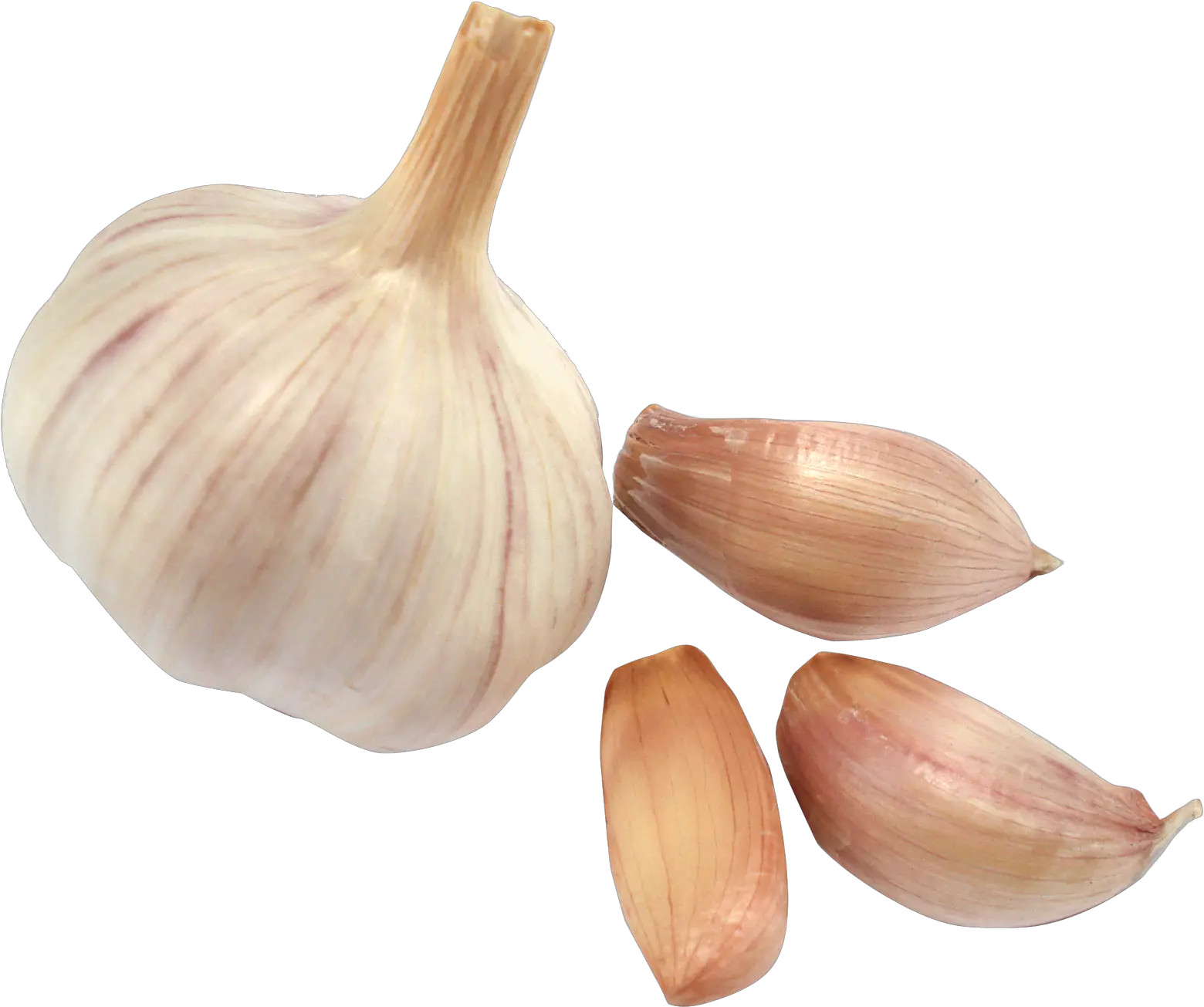 Garlic Png Transparent Background Png Png Cloves Garlic