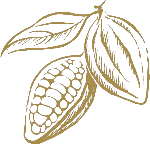 Leonidas Cocoa Bean