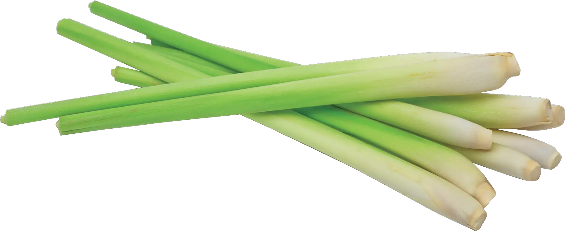 Transparent Lemongrass Clipart Lemon Grass Png