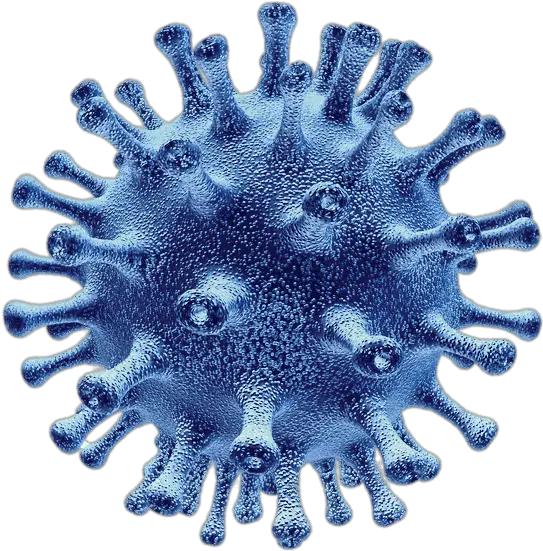 Flu Virus Cell Cartoon Picture Of Disease