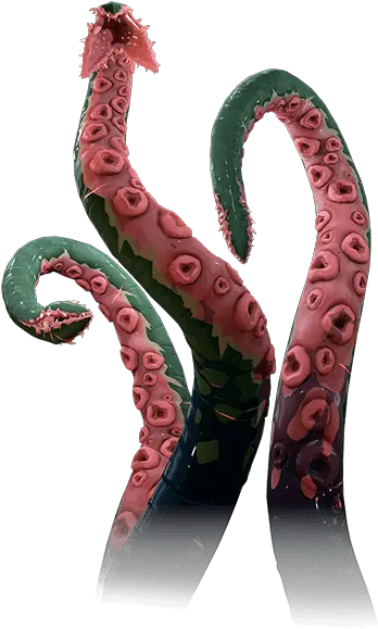 Sea Of Thieves Kraken Tentacles Png