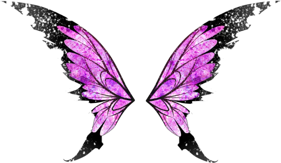 butterfly butterflywings wings angel angelwings Transparent Background Fairy Wings Png Transp