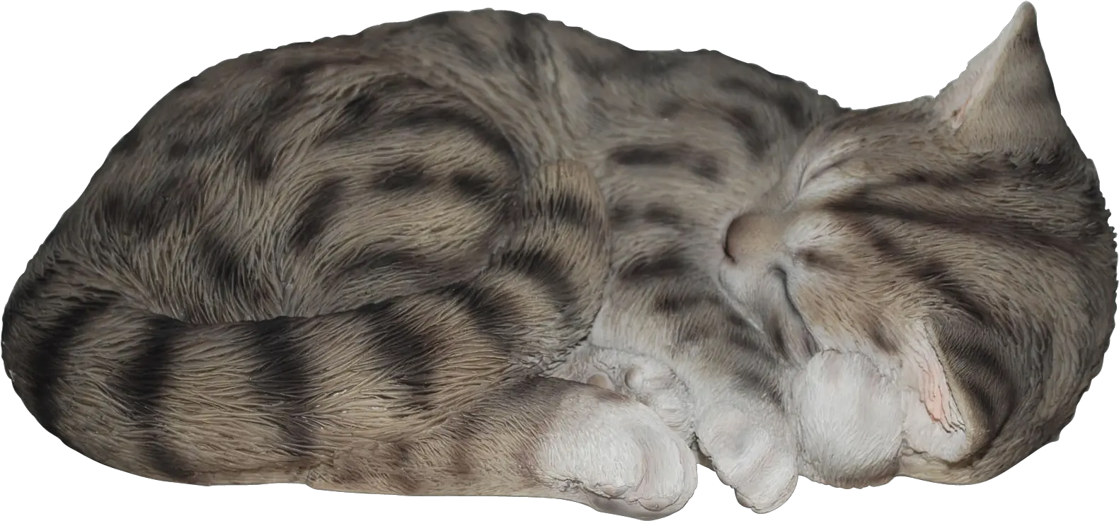 Transparent Sleeping Cat Png